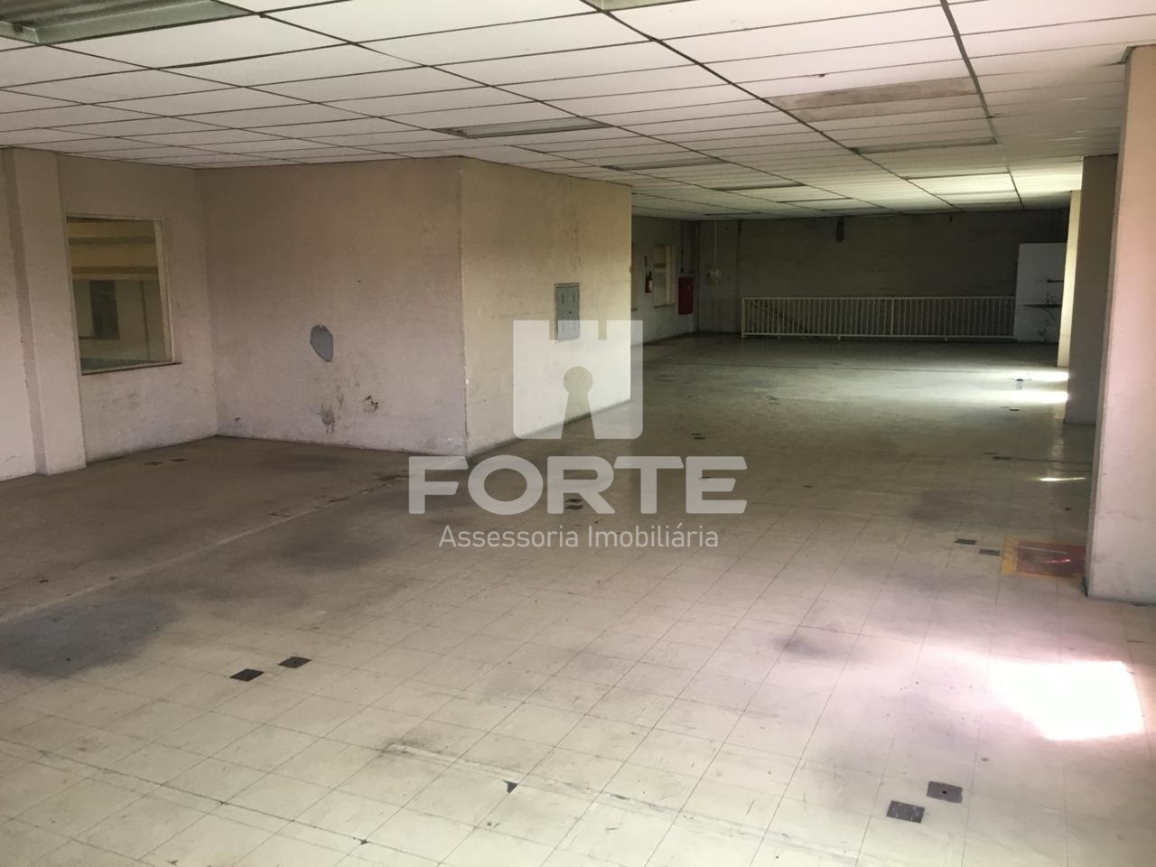 Depósito-Galpão-Armazém à venda e aluguel, 2550m² - Foto 4