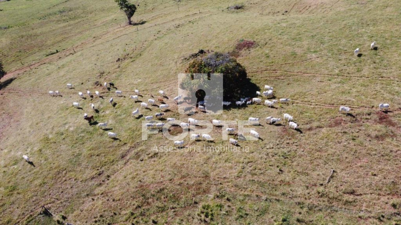 Fazenda à venda com 4 quartos, 84m² - Foto 4