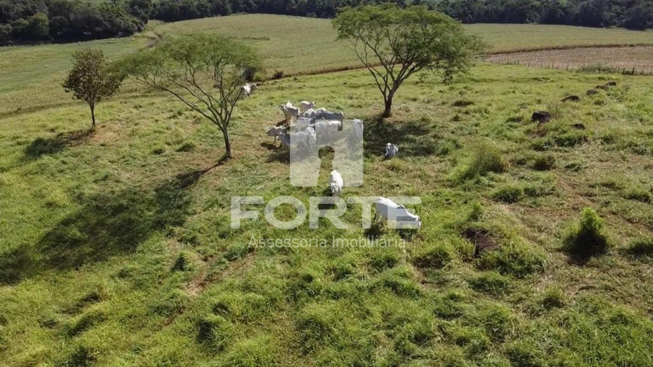 Fazenda à venda com 4 quartos, 84m² - Foto 5