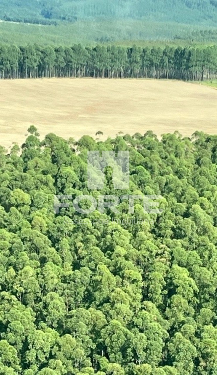 Fazenda à venda com 3 quartos, 1722m² - Foto 7