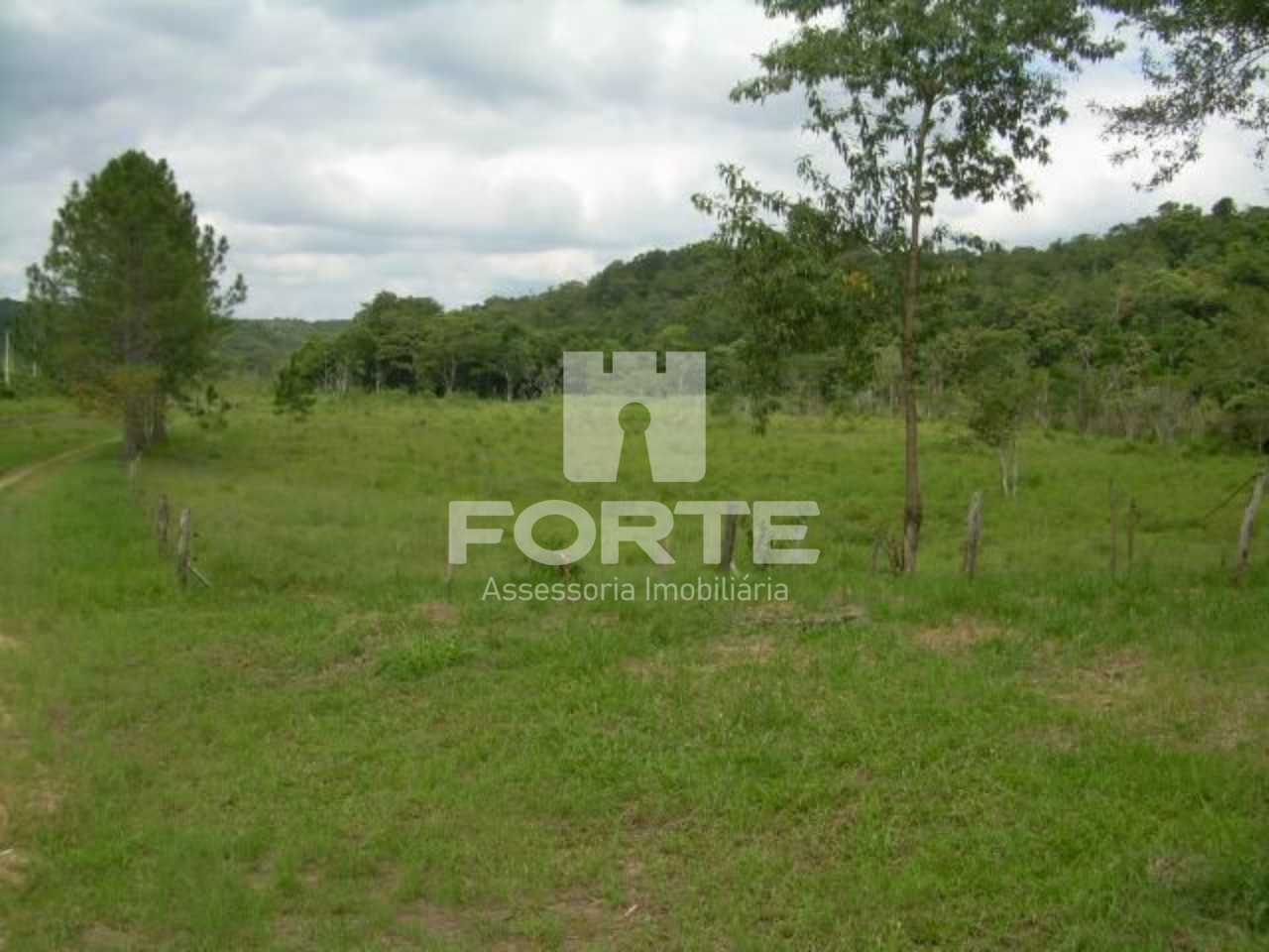 Haras e Área Rural Padrão à venda, 194153m² - Foto 21