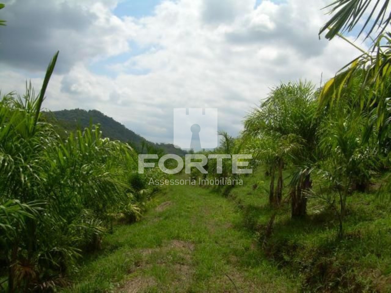 Haras e Área Rural Padrão à venda, 194153m² - Foto 22