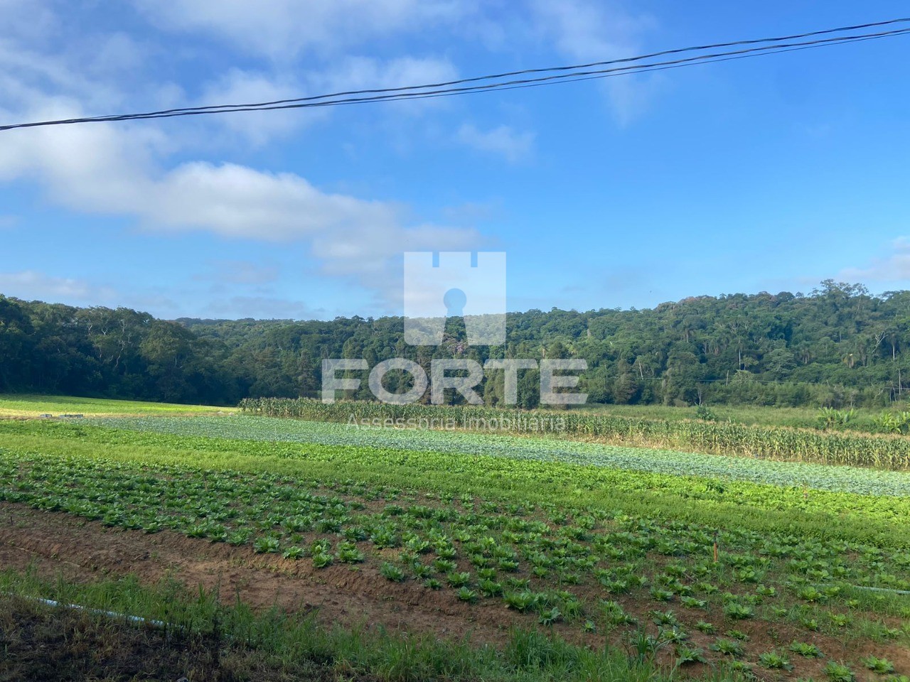 Haras e Área Rural Padrão à venda, 194153m² - Foto 2