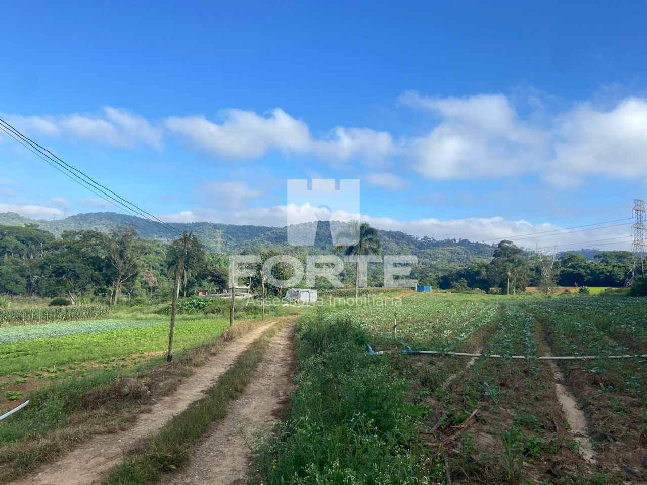 Haras e Área Rural Padrão à venda, 194153m² - Foto 1