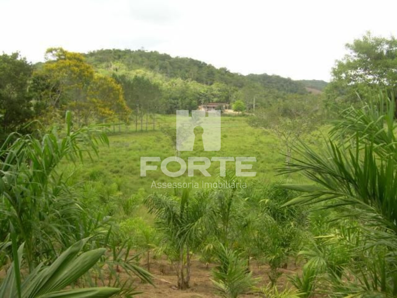 Haras e Área Rural Padrão à venda, 194153m² - Foto 23