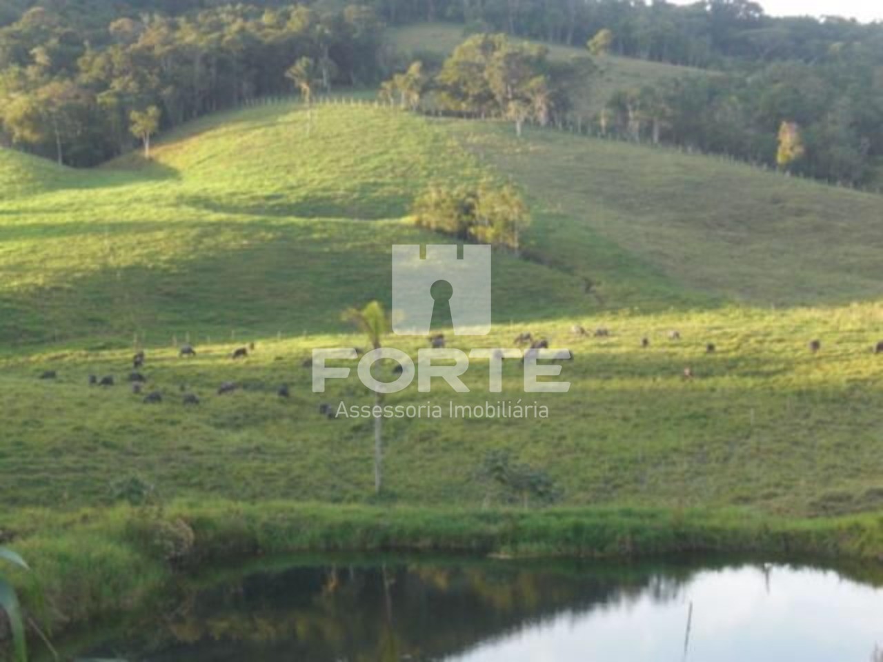 Haras e Área Rural Padrão à venda, 194153m² - Foto 20