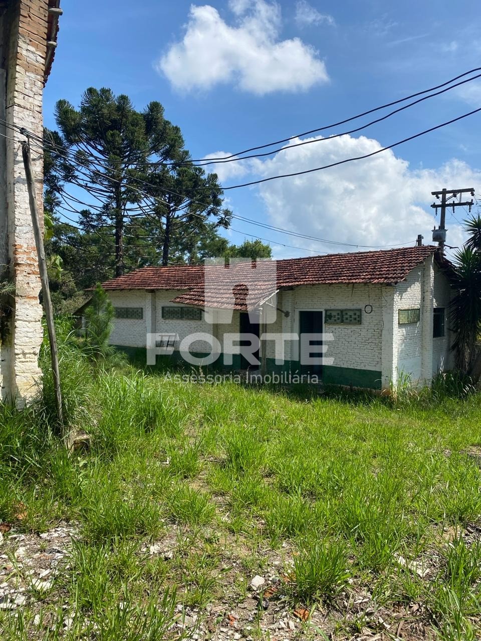 Sítio, 700 m² - Foto 2