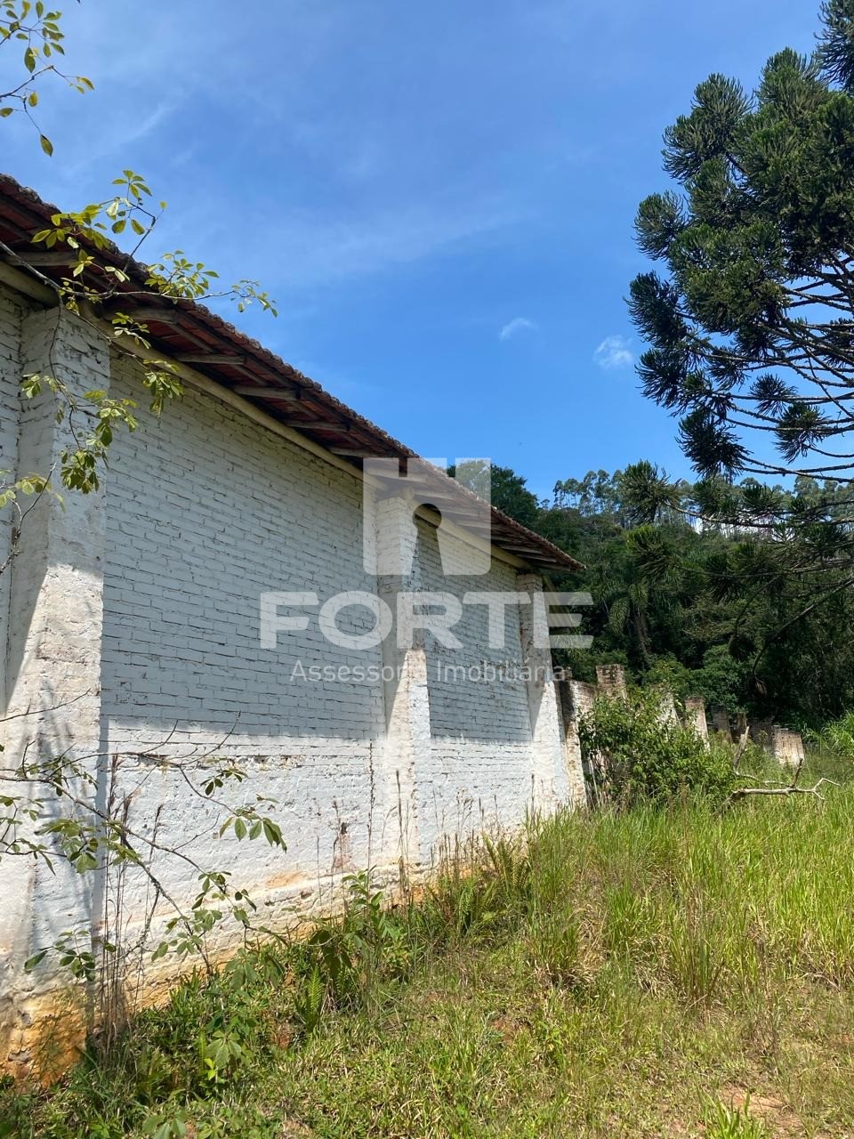 Sítio, 700 m² - Foto 3
