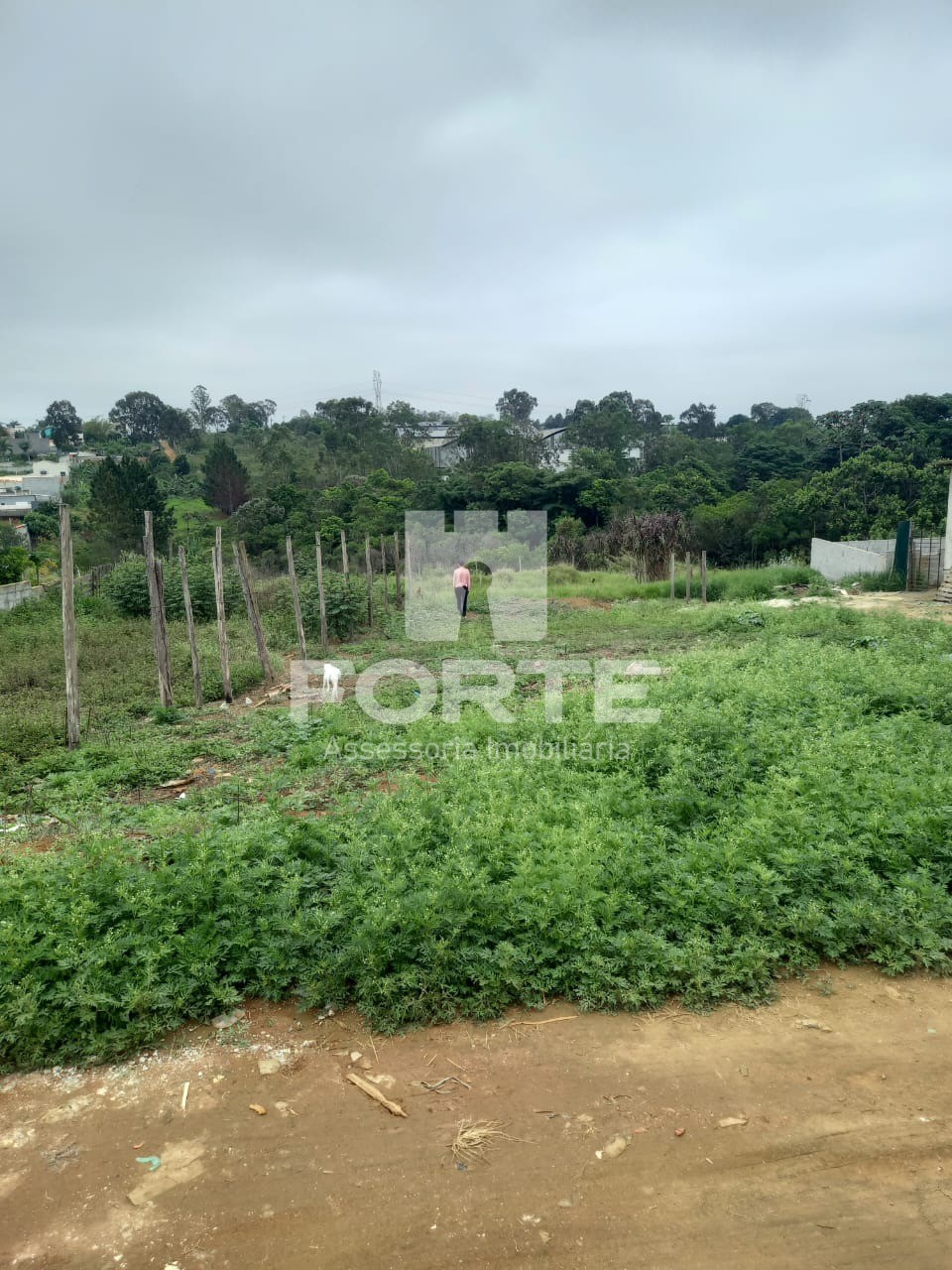 Terreno à venda, 300m² - Foto 4