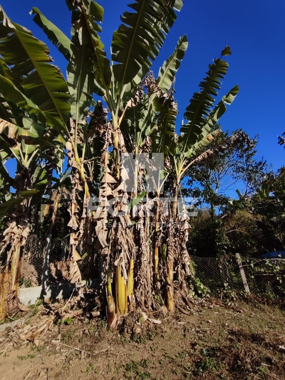 Chácara à venda com 1 quarto, 500m² - Foto 18