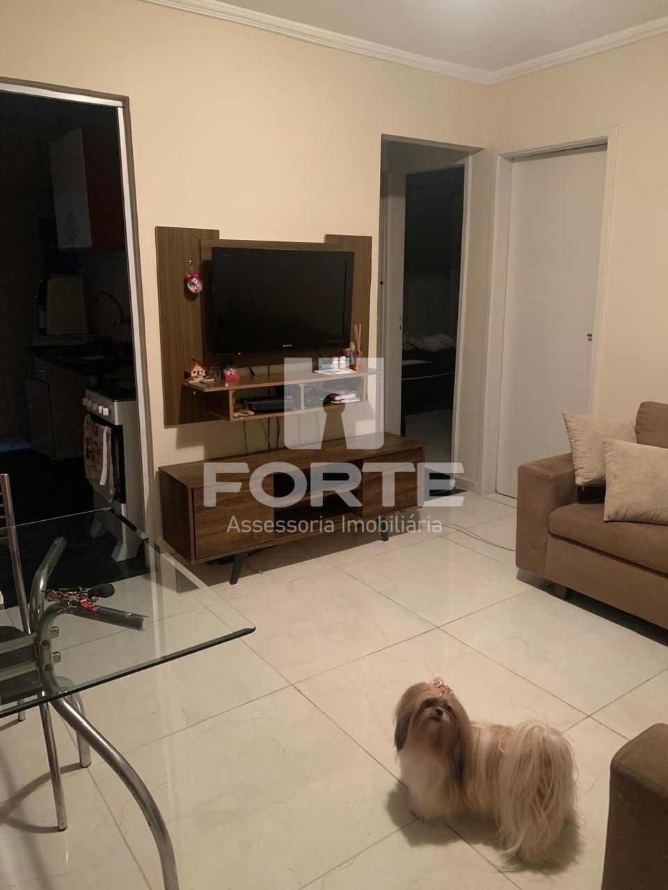 Apartamento à venda com 2 quartos, 59m² - Foto 1