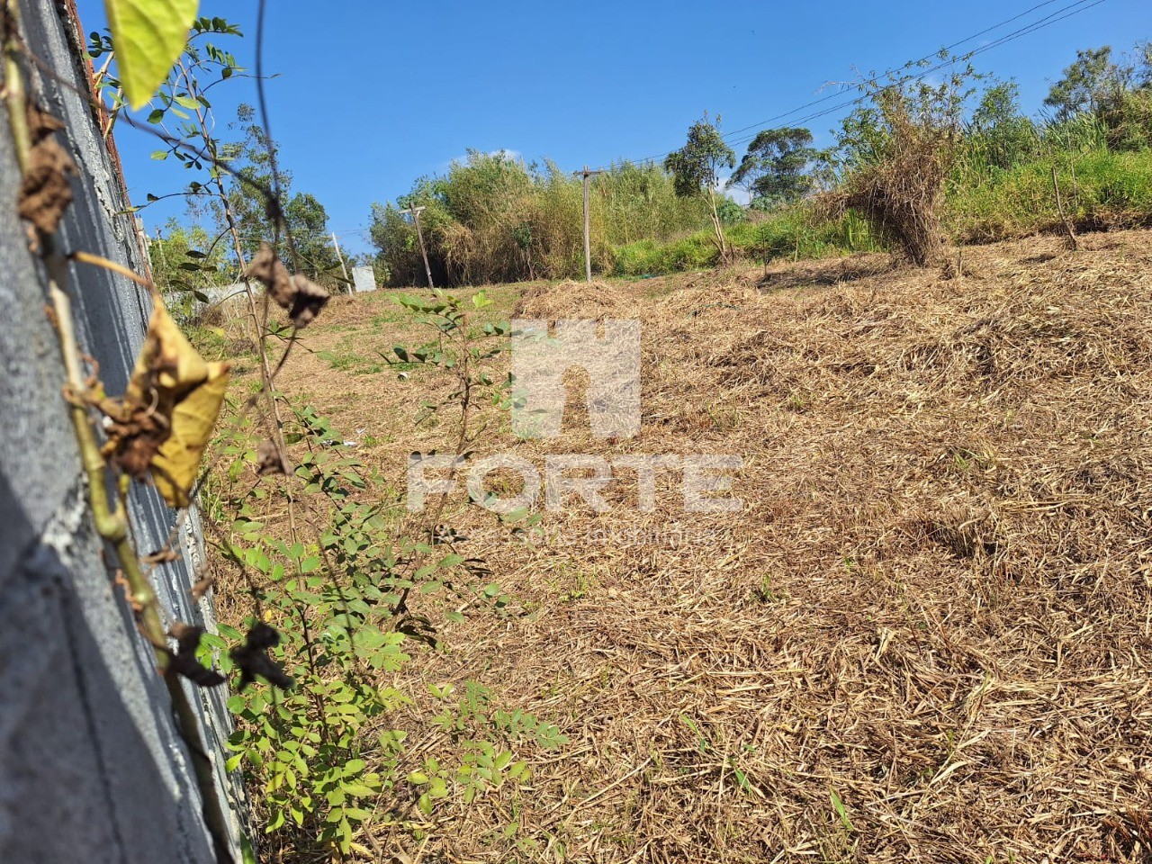 Terreno à venda, 1050m² - Foto 4