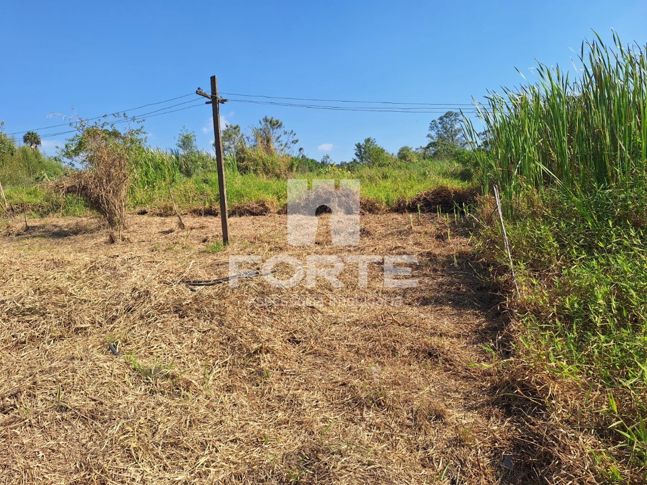 Terreno à venda, 1050m² - Foto 5