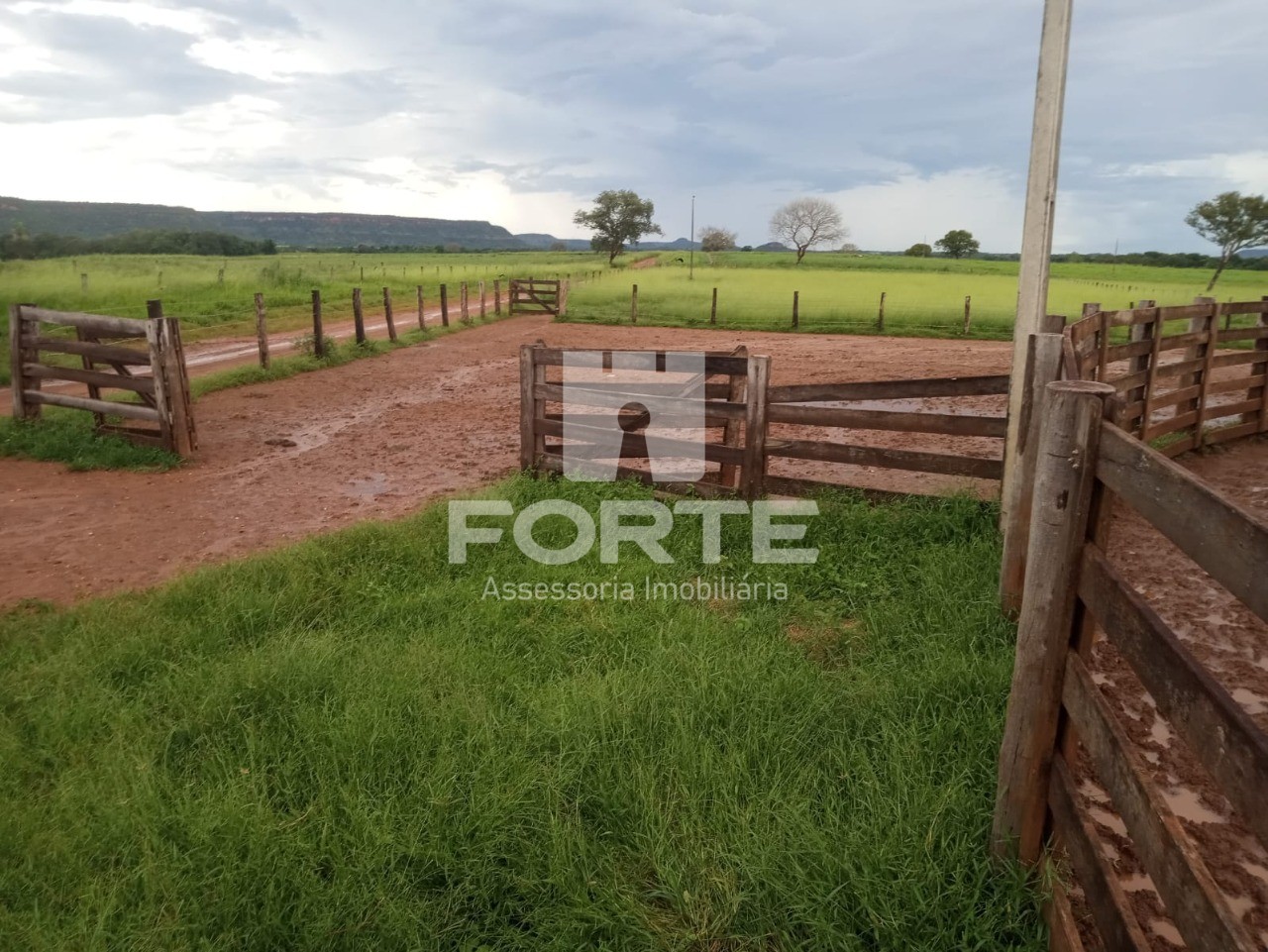 Fazenda à venda com 11 quartos, 3900m² - Foto 5