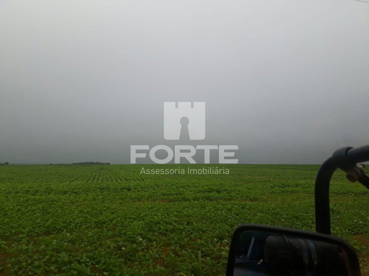 Fazenda, 4 hectares - Foto 6