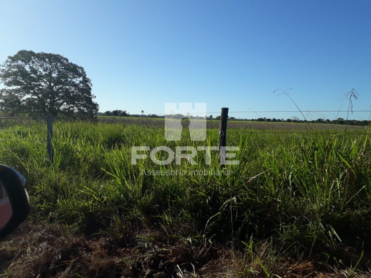 Fazenda à venda com 3 quartos, 3585m² - Foto 6