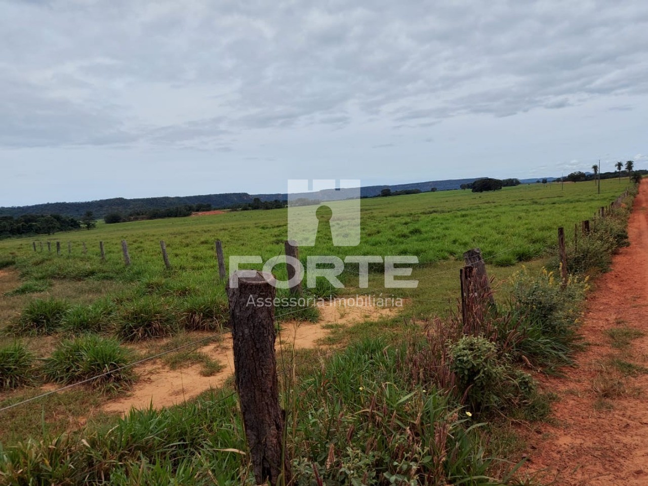 Fazenda à venda com 11 quartos, 3900m² - Foto 11