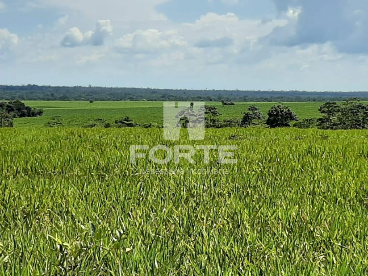 Fazenda à venda com 3 quartos, 3585m² - Foto 5