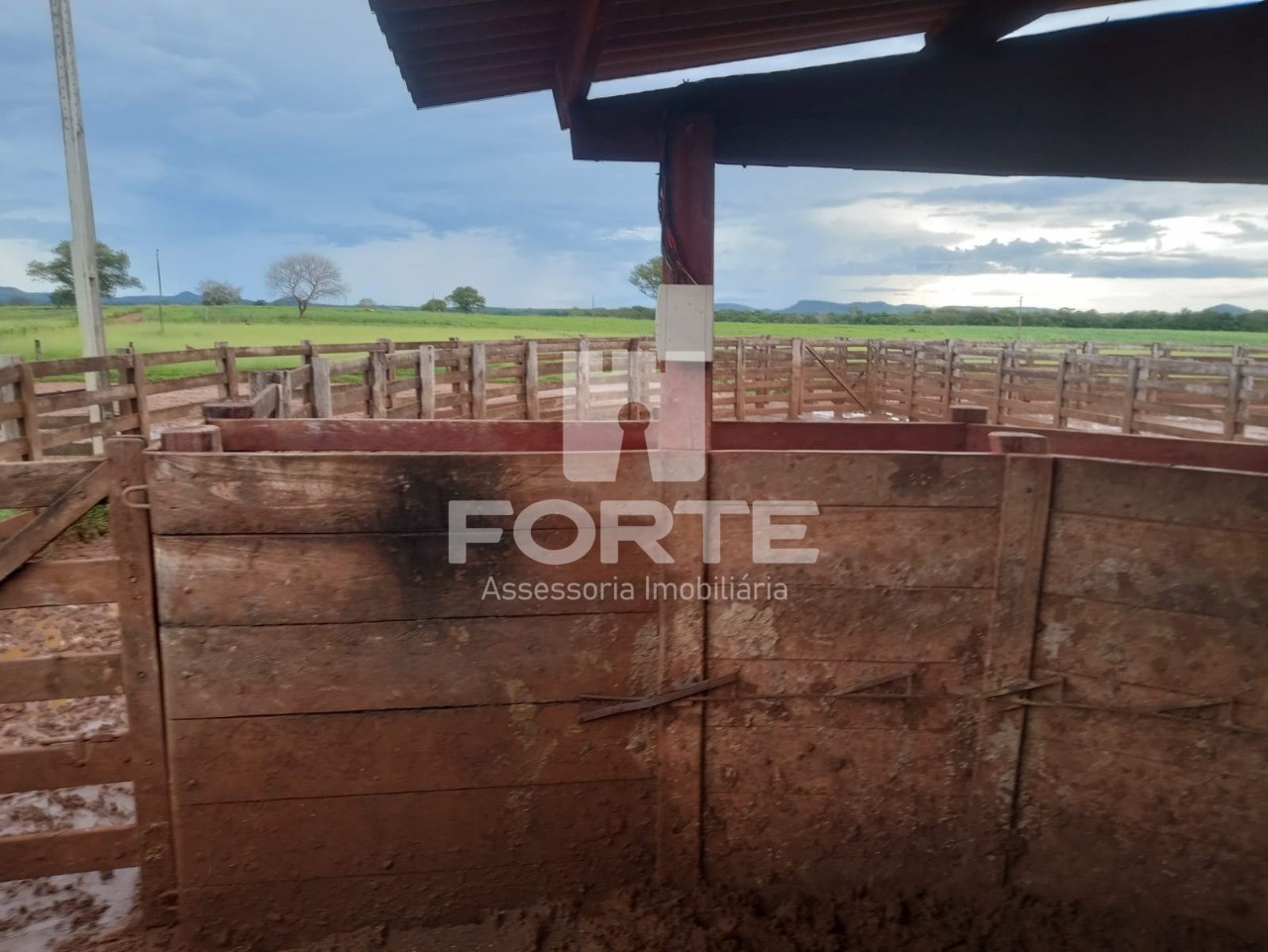 Fazenda à venda com 11 quartos, 3900m² - Foto 3