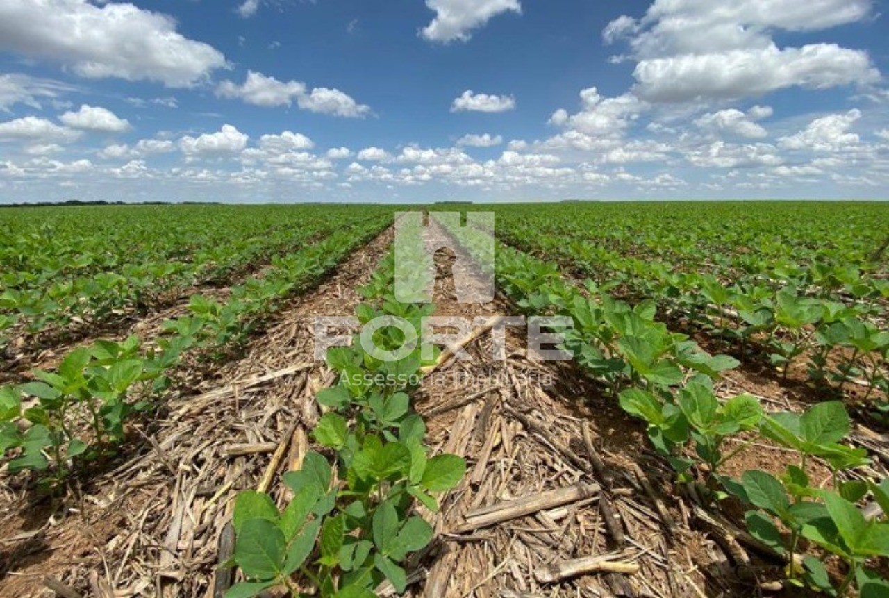 Fazenda à venda com 6 quartos, 582m² - Foto 1