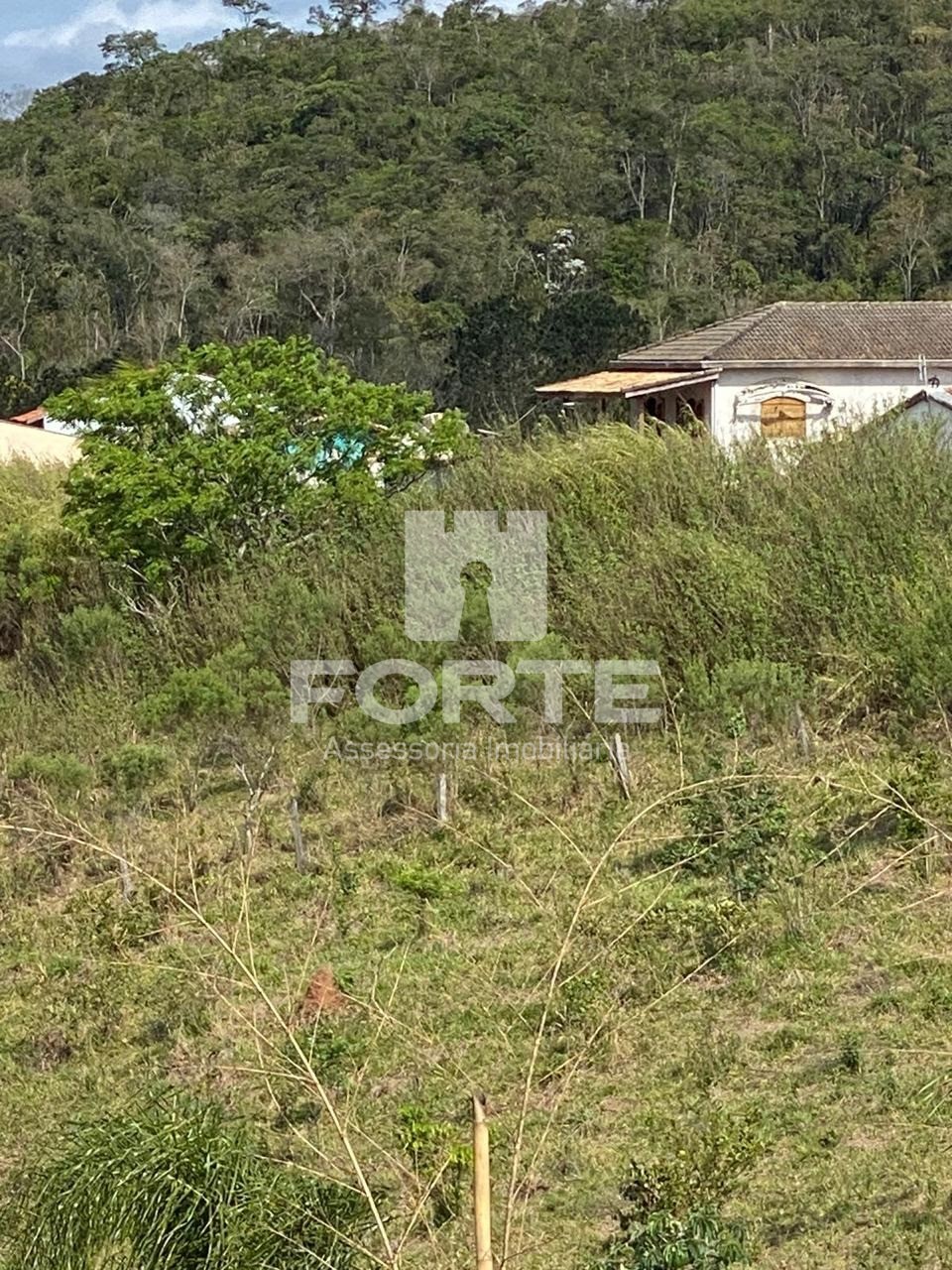 Terreno, 1 hectares - Foto 2