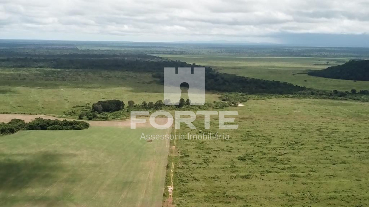 Fazenda à venda com 6 quartos, 20000m² - Foto 3