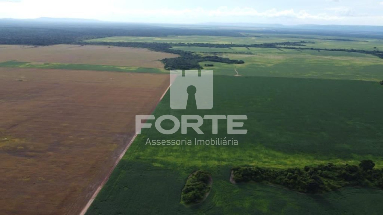 Fazenda, 4 hectares - Foto 1
