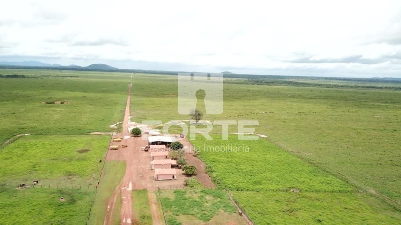 Fazenda à venda com 6 quartos, 20000m² - Foto 5