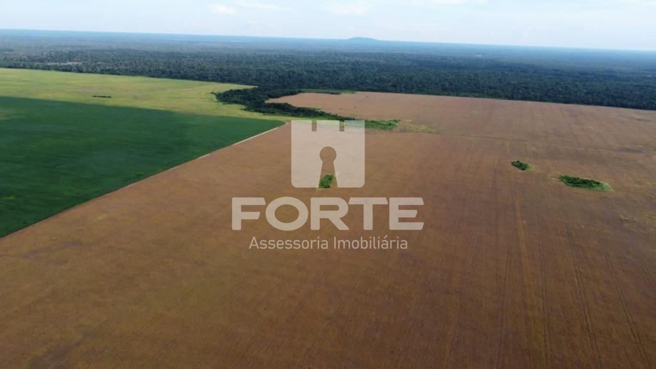 Fazenda, 4 hectares - Foto 10