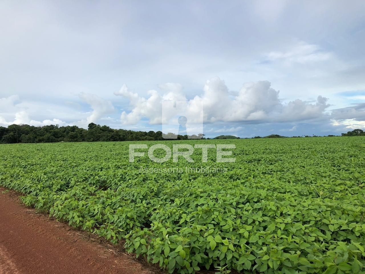 Fazenda, 4 hectares - Foto 7