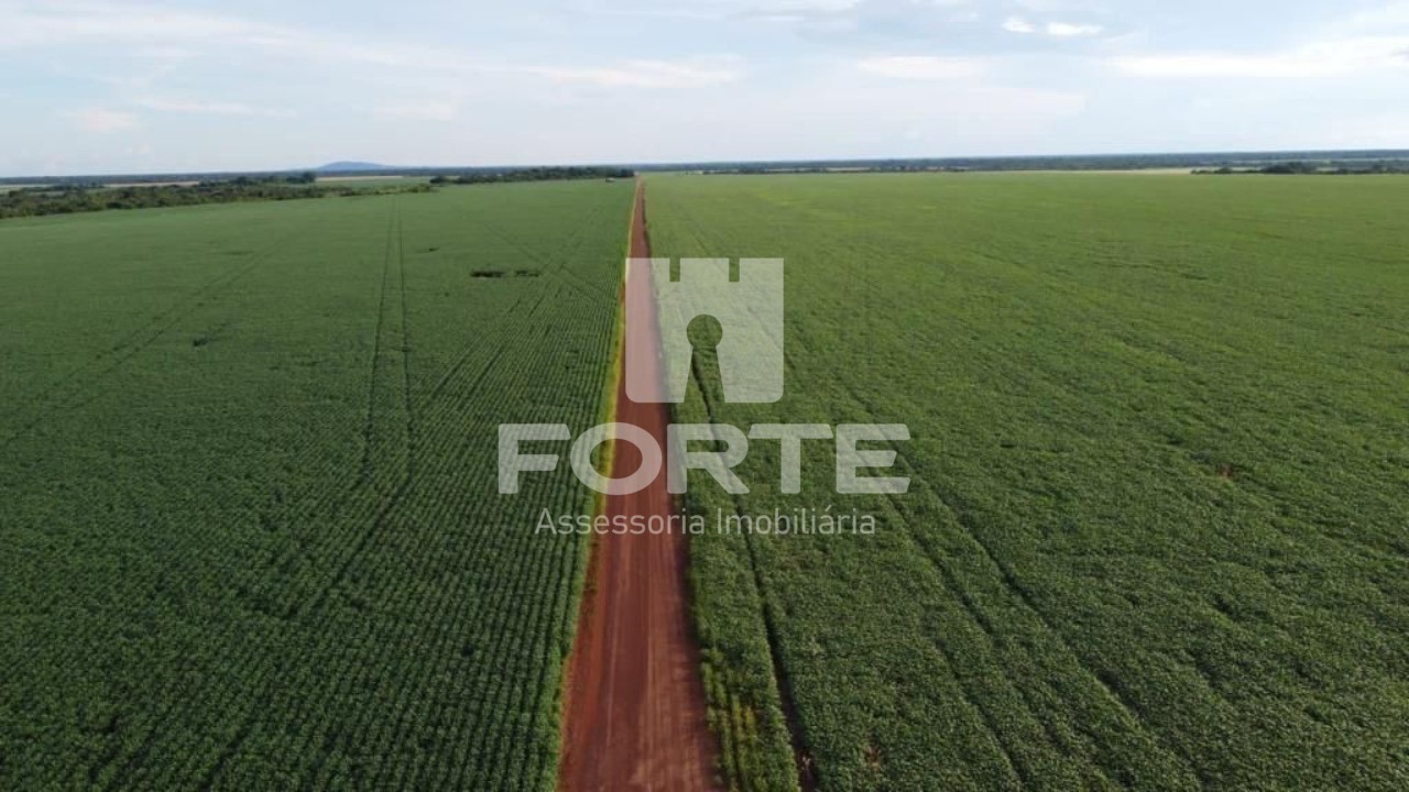 Fazenda, 4 hectares - Foto 12