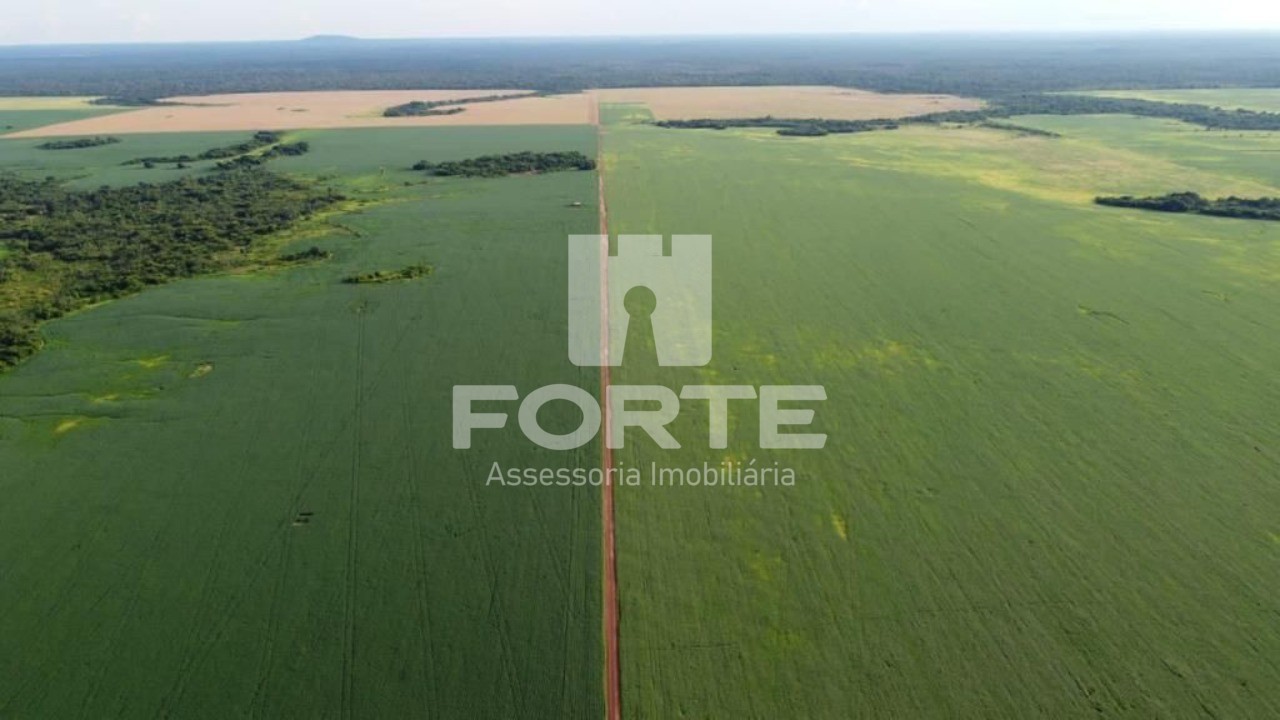 Fazenda, 4 hectares - Foto 13
