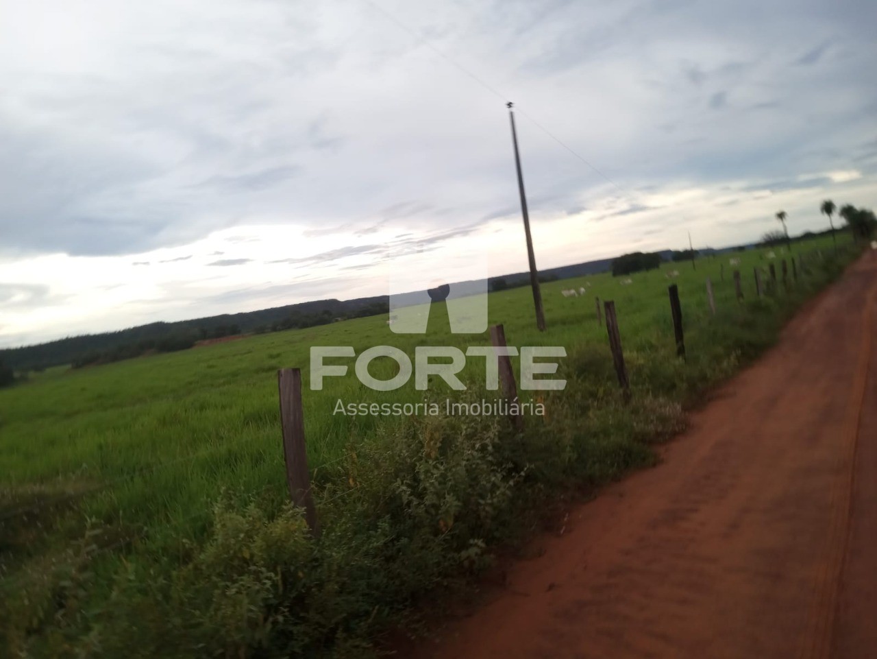 Fazenda à venda com 11 quartos, 3900m² - Foto 9