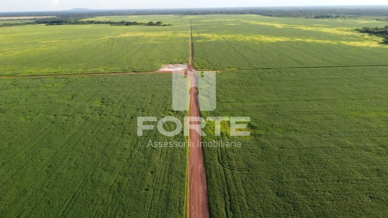 Fazenda, 4 hectares - Foto 9