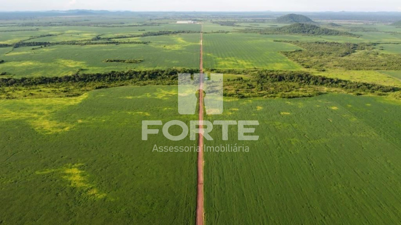 Fazenda, 4 hectares - Foto 14