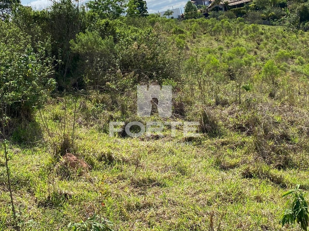 Terreno, 1 hectares - Foto 1