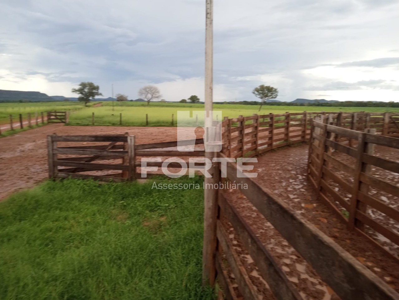 Fazenda à venda com 11 quartos, 3900m² - Foto 6