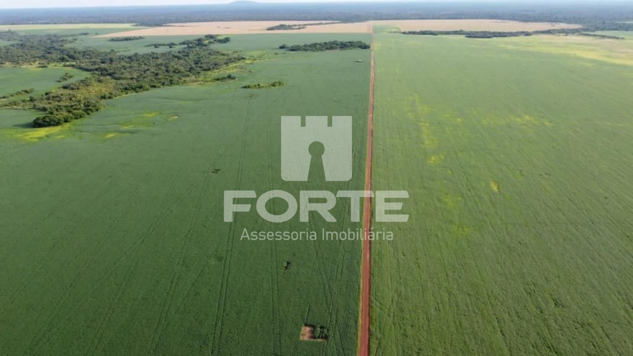Fazenda, 4 hectares - Foto 15