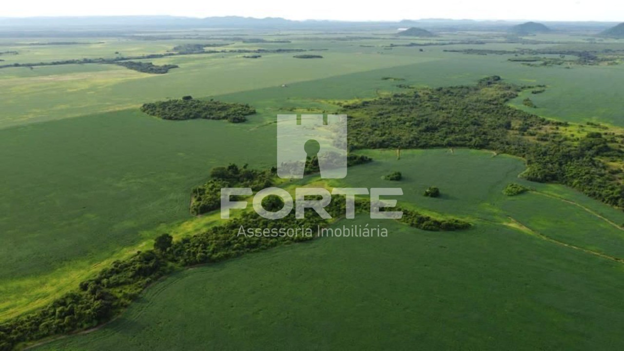 Fazenda, 4 hectares - Foto 11