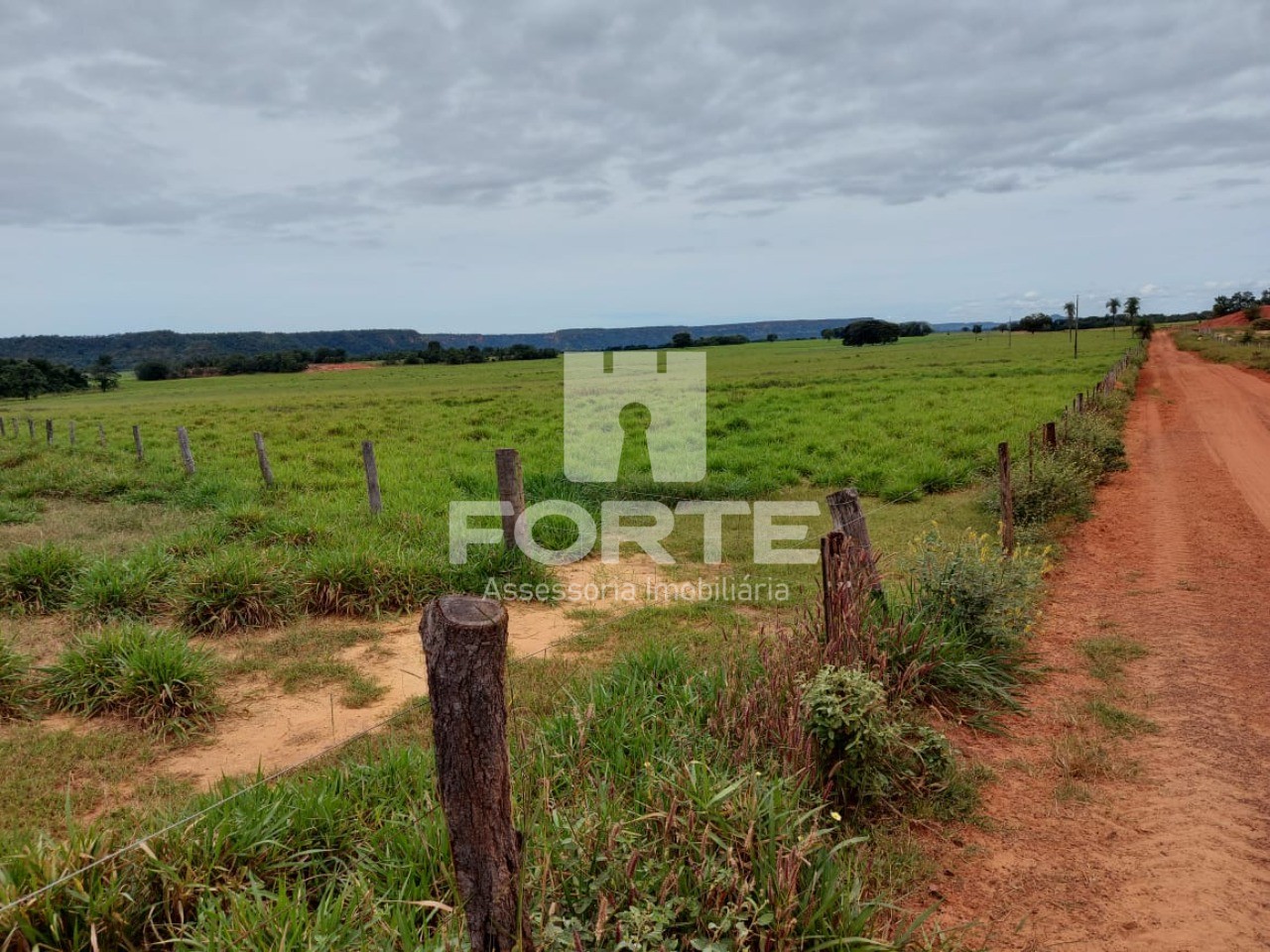 Fazenda à venda com 11 quartos, 3900m² - Foto 15