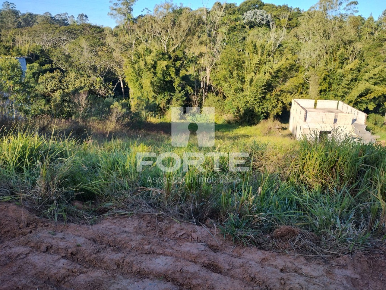 Terreno à venda, 1000m² - Foto 4