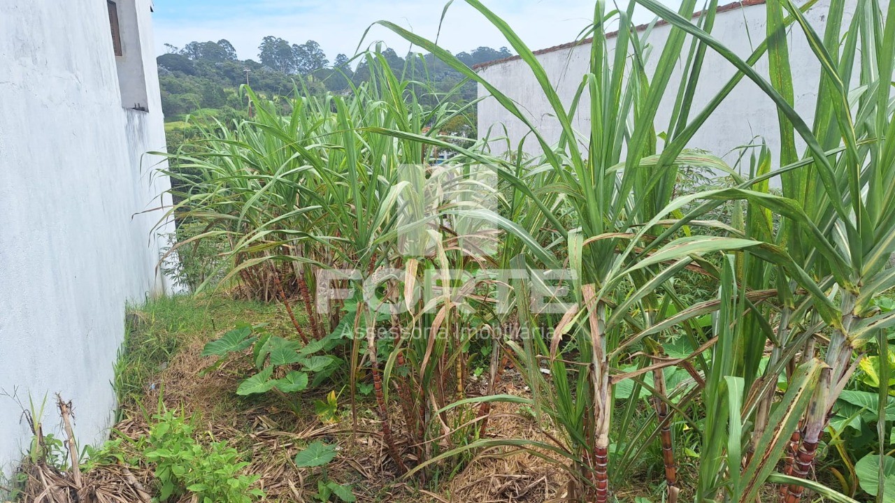 Terreno à venda, 250m² - Foto 4