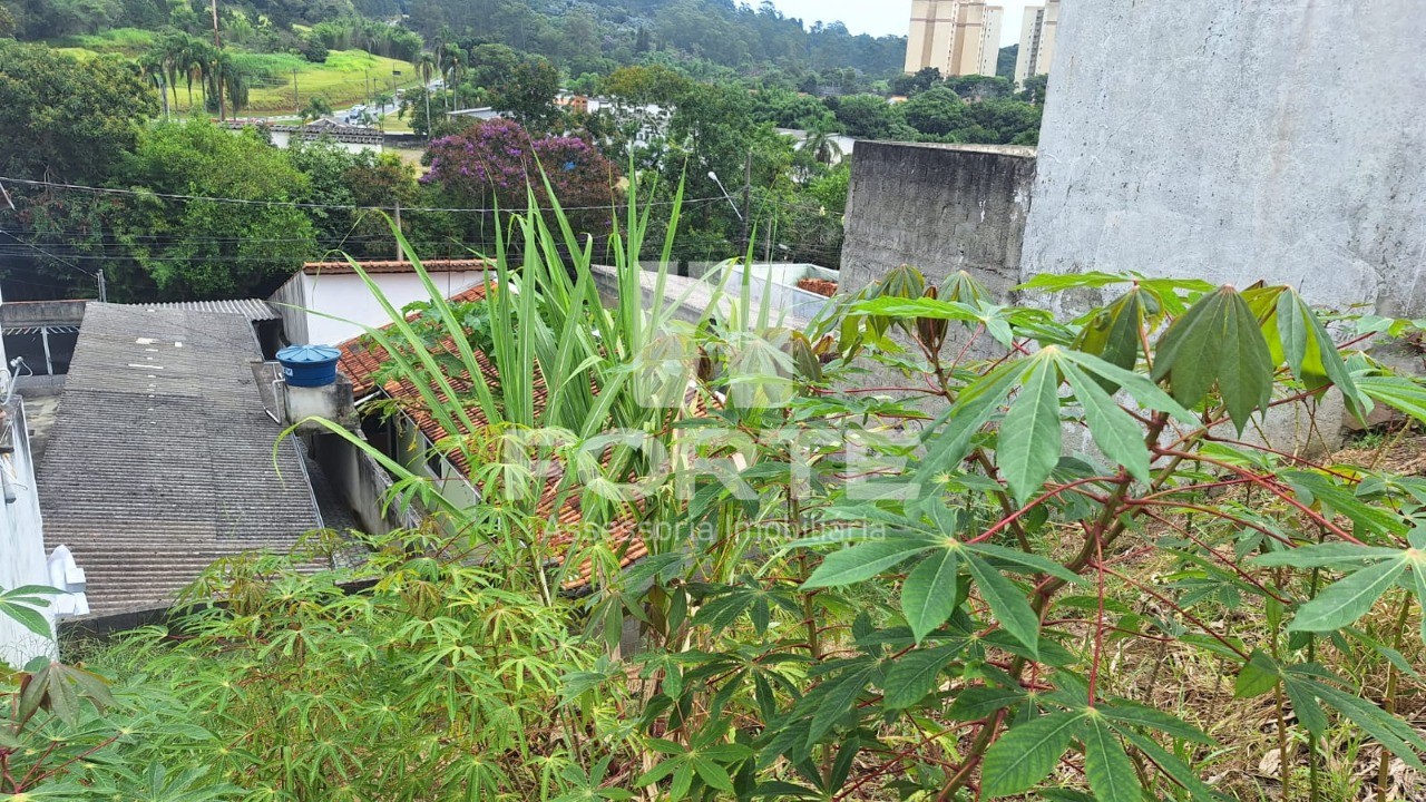 Terreno à venda, 250m² - Foto 3