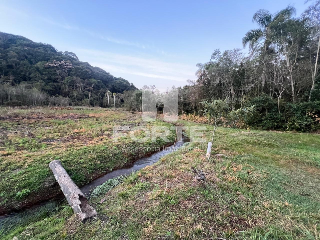 Chácara à venda com 5 quartos, 22000m² - Foto 8