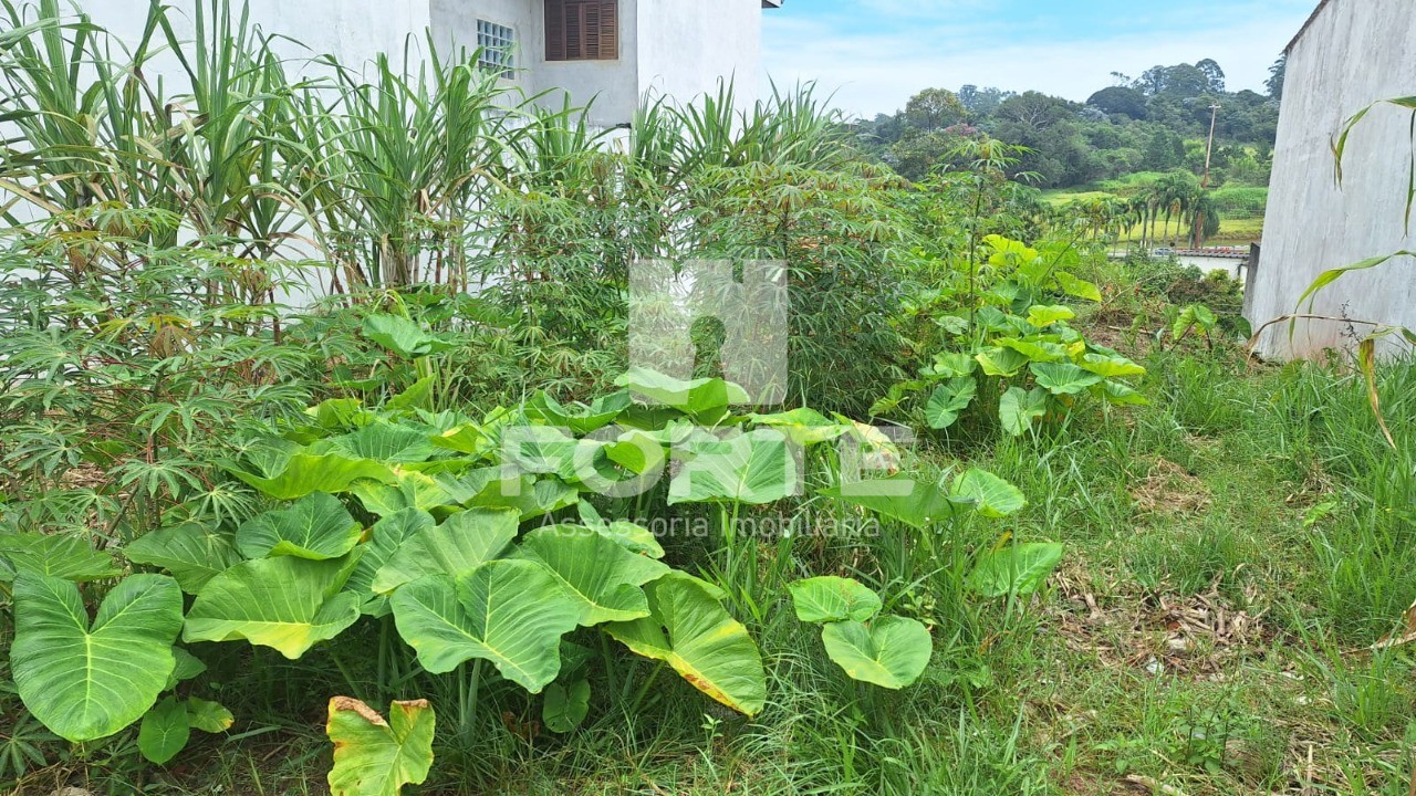 Terreno à venda, 250m² - Foto 2