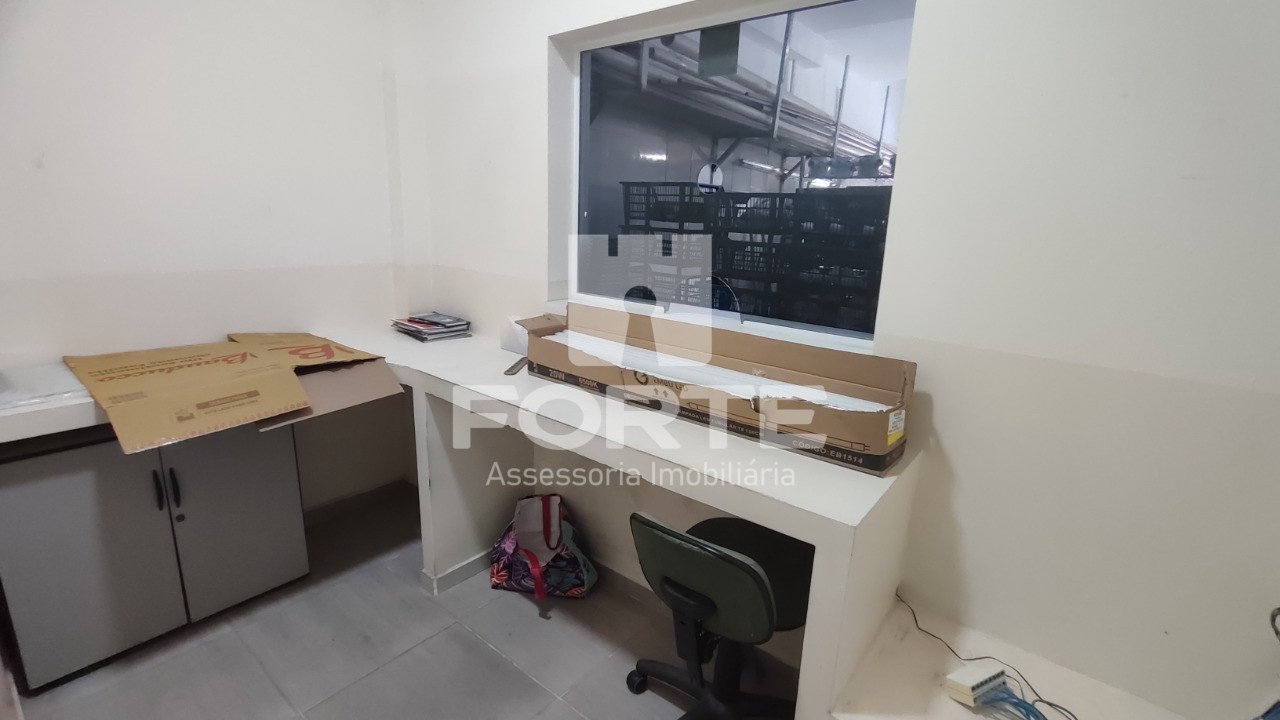 Casa, 3 quartos, 480 m² - Foto 27