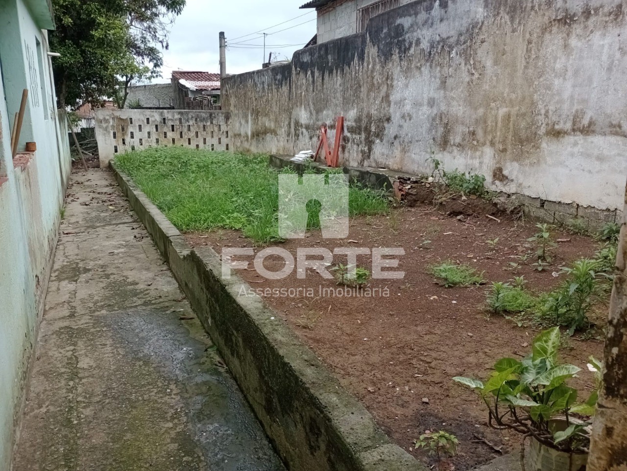 Casa, 6 quartos, 500 m² - Foto 3