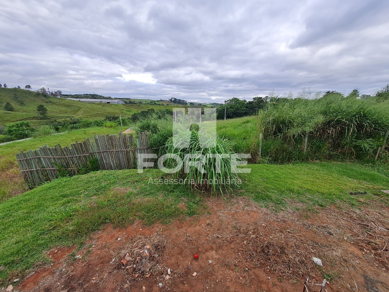 Chácara, 3 quartos, 1000 m² - Foto 13
