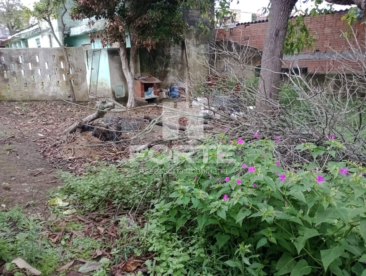 Casa, 6 quartos, 500 m² - Foto 4