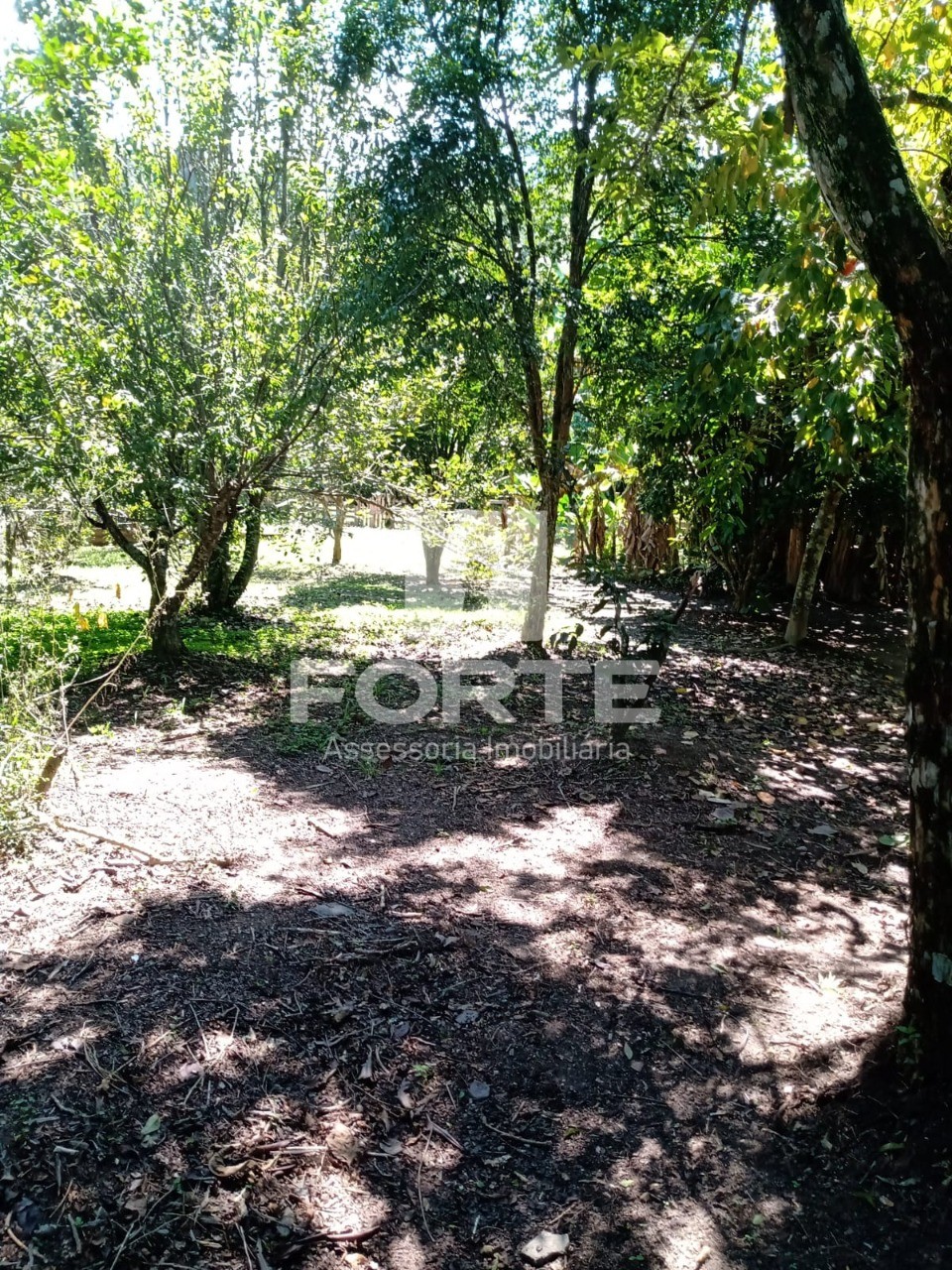 Chácara, 3 quartos, 1845 m² - Foto 5